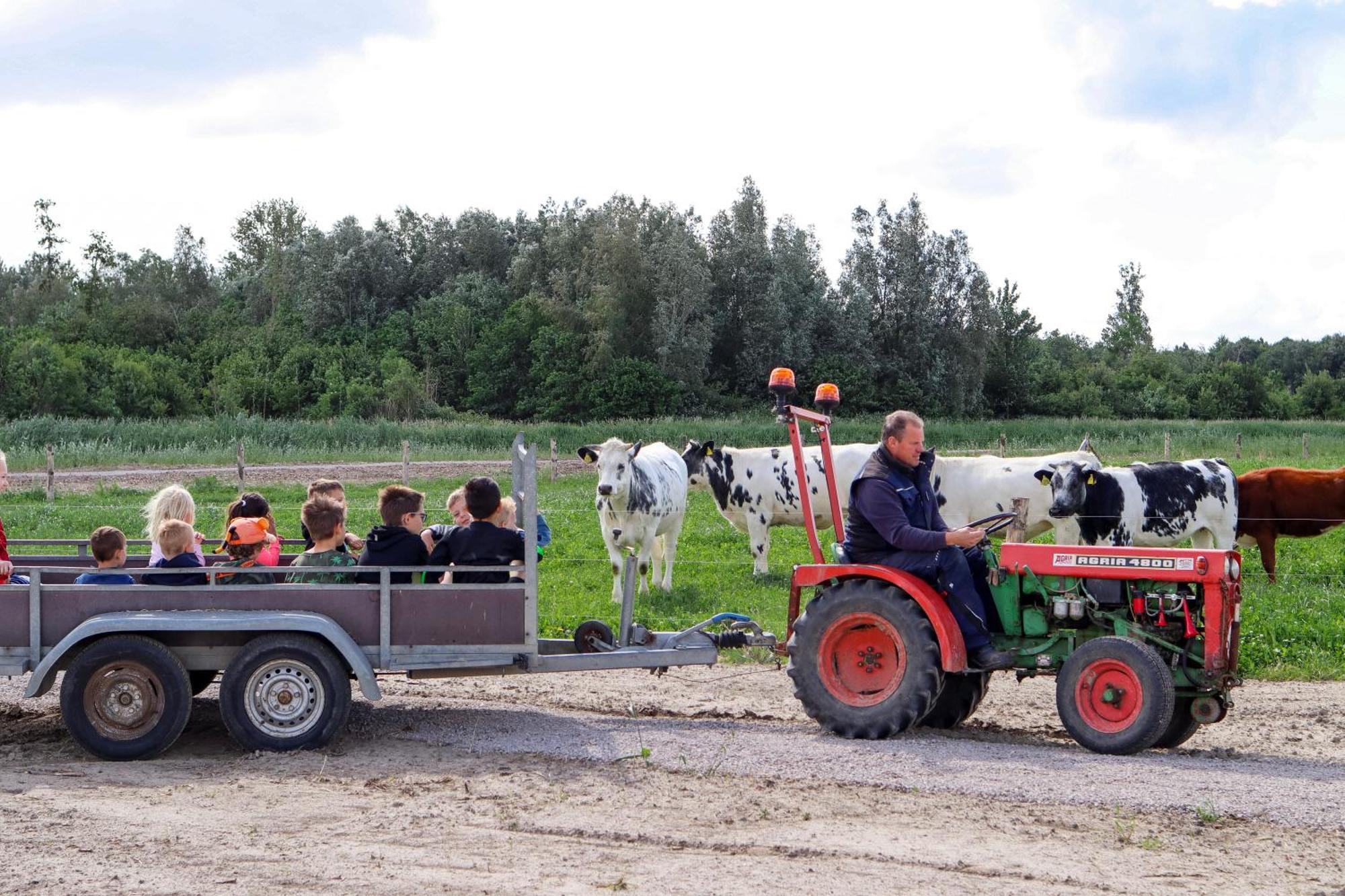 Boerderijcamping De Hinde Dronten Εξωτερικό φωτογραφία
